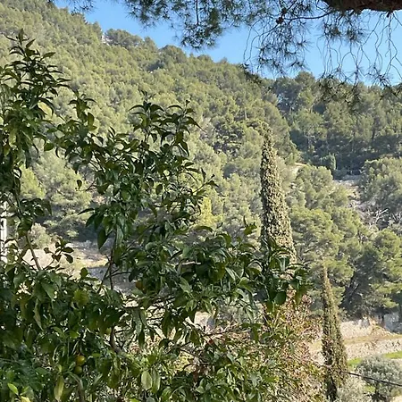 Maison Independante Vue Au Coeur De La Nature Toulon