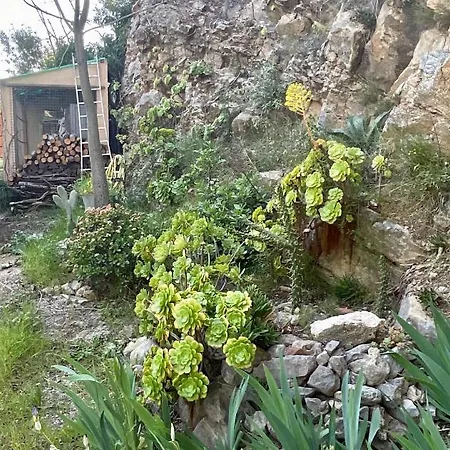 Maison Independante Vue Au Coeur De La Nature Toulon