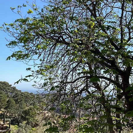 Maison Independante Vue Au Coeur De La Nature Holiday home