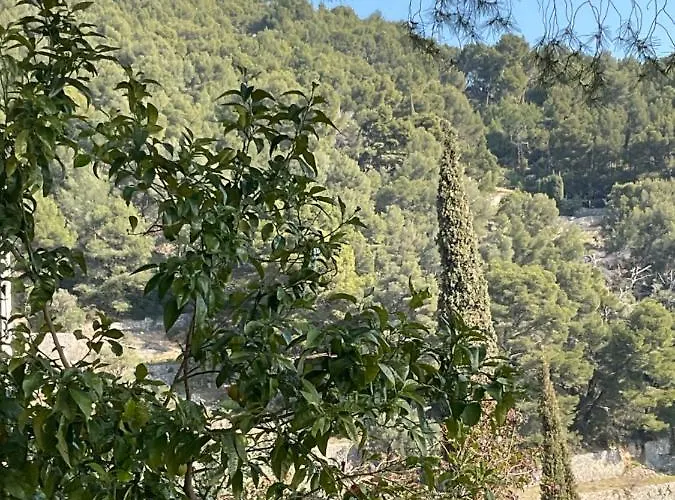 Maison Independante Vue Au Coeur De La Nature Toulon