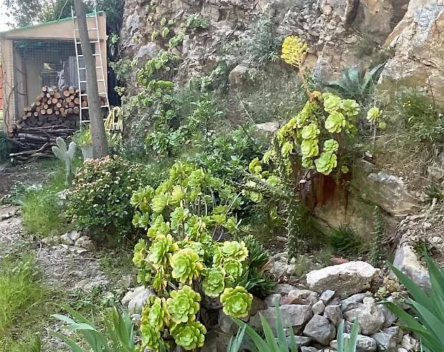 Maison Independante Vue Au Coeur De La Nature Toulon