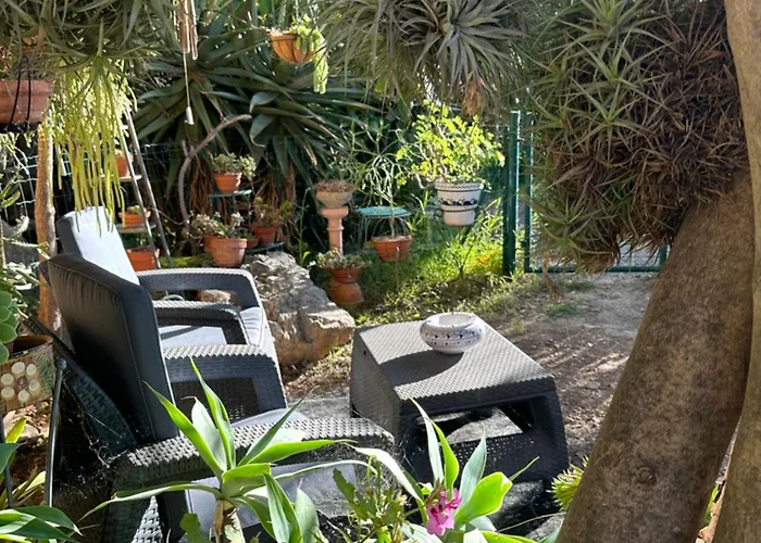 Ferienhaus Maison Independante Vue Au Coeur De La Nature Toulon